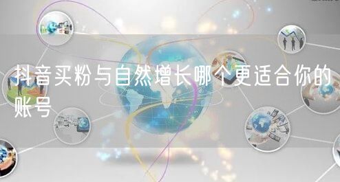 抖音买粉与自然增长哪个更适合你的账号