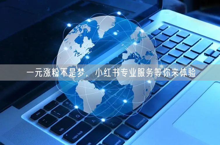 一元涨粉不是梦，小红书专业服务等你来体验
