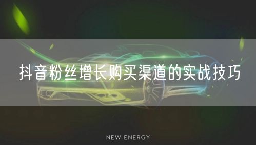 抖音粉丝增长购买渠道的实战技巧
