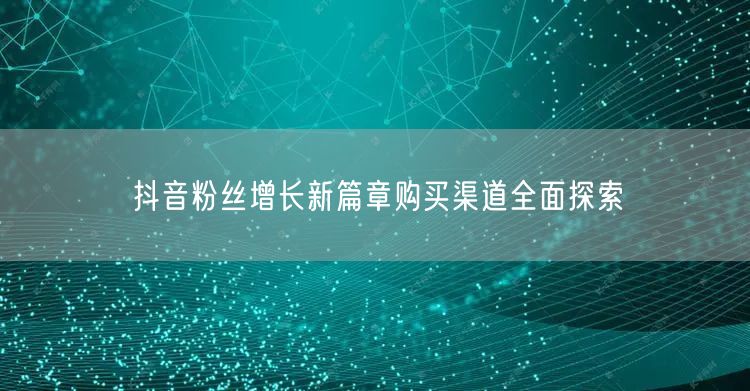 抖音粉丝增长新篇章购买渠道全面探索