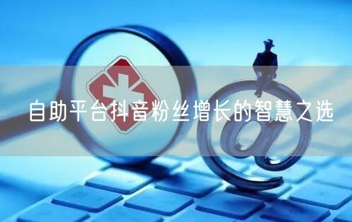 自助平台抖音粉丝增长的智慧之选