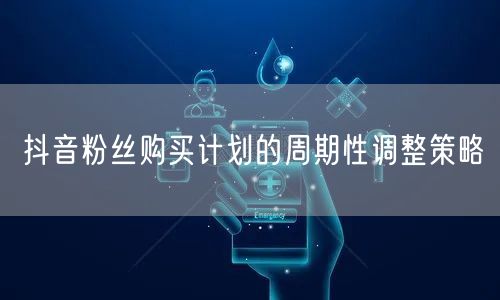 抖音粉丝购买计划的周期性调整策略