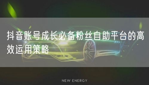 抖音账号成长必备粉丝自助平台的高效运用策略