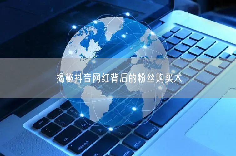 揭秘抖音网红背后的粉丝购买术