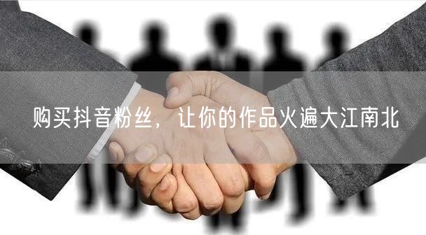 购买抖音粉丝，让你的作品火遍大江南北