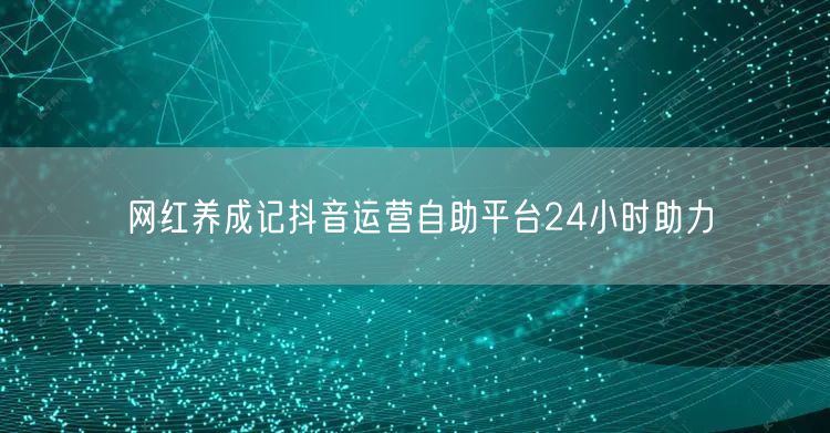 网红养成记抖音运营自助平台24小时助力