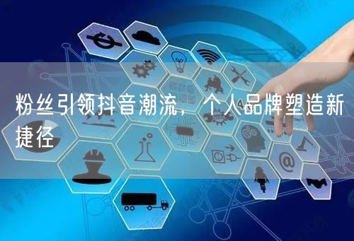 粉丝引领抖音潮流，个人品牌塑造新捷径