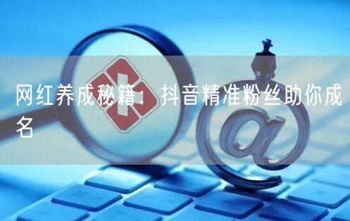 网红养成秘籍：抖音精准粉丝助你成名