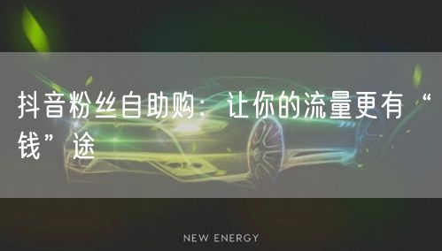 抖音粉丝自助购：让你的流量更有“钱”途