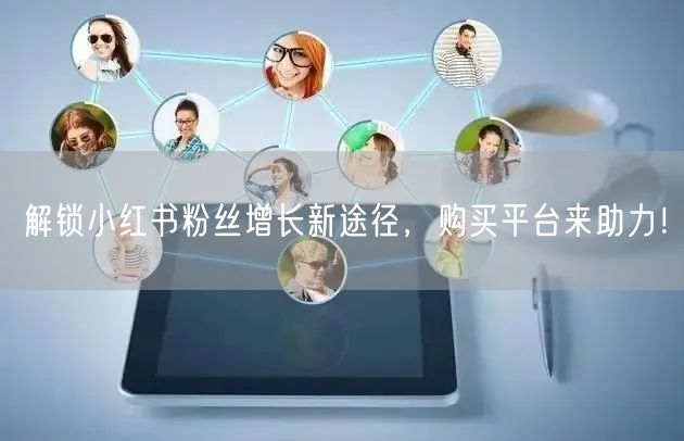 解锁小红书粉丝增长新途径,购买平台来助力!