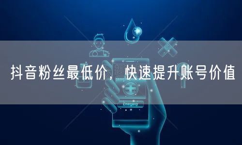 抖音粉丝最低价,快速提升账号价值
