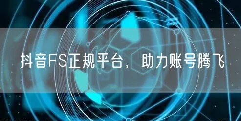 抖音FS正规平台，助力账号腾飞